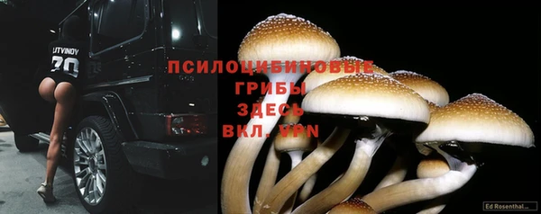 прущий лед Абаза