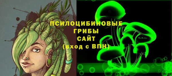 прущий лед Абаза