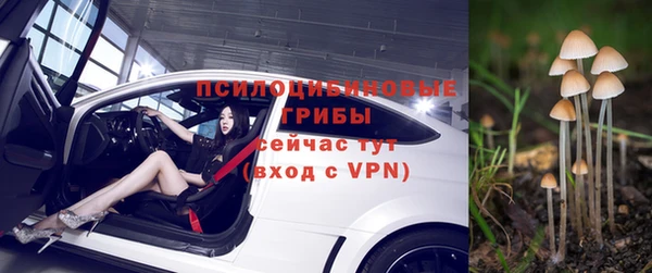 твердый Абдулино