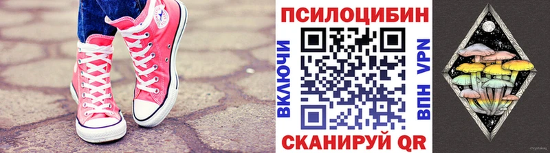 мориарти какой сайт  Александровск  Псилоцибиновые грибы Psilocybe  блэк спрут  